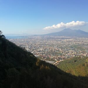 Tour Vesuvio e sito di Ercolano (6 ore)