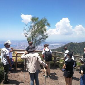 Tour Vesuvio, Pompei e degustazione Vini & Cibo alle Cantine del Vesuvio (8 ore)